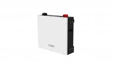 Батарея литий-железо-фосфатная Dyness DL5.0C 51.2V100Ah